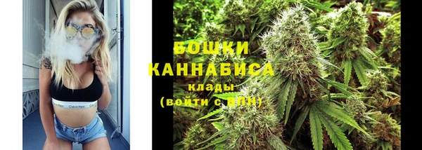 СК Горно-Алтайск