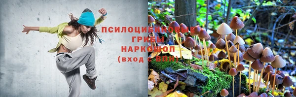 ГАЛЛЮЦИНОГЕННЫЕ ГРИБЫ Горнозаводск