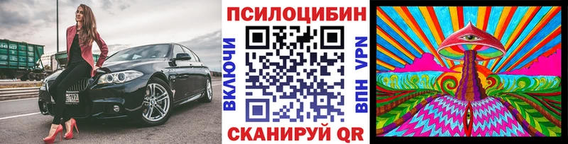Псилоцибиновые грибы прущие грибы  Звенигово 